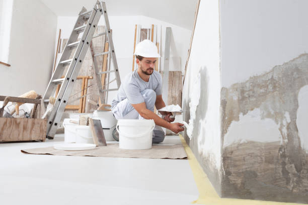 Best Asbestos and Lead Testing During Mold Inspection  in Sorrento, LA